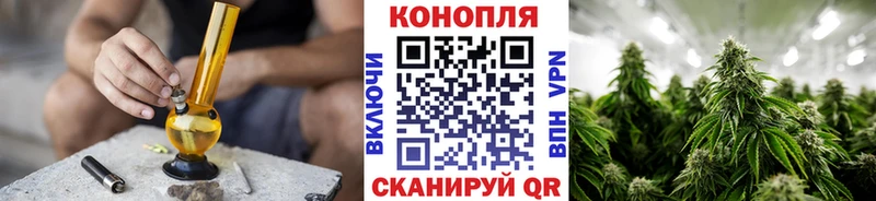 Бошки марихуана THC 21%  MEGA зеркало  Каспийск 